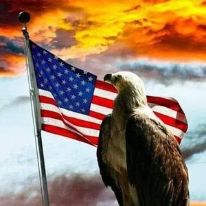 Meet your Posher, Rob